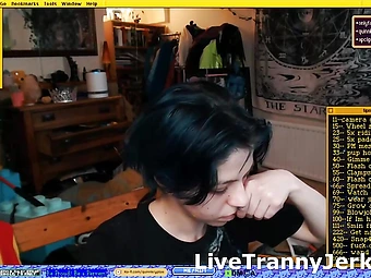 quinnkryptos Cock Ts LIve
